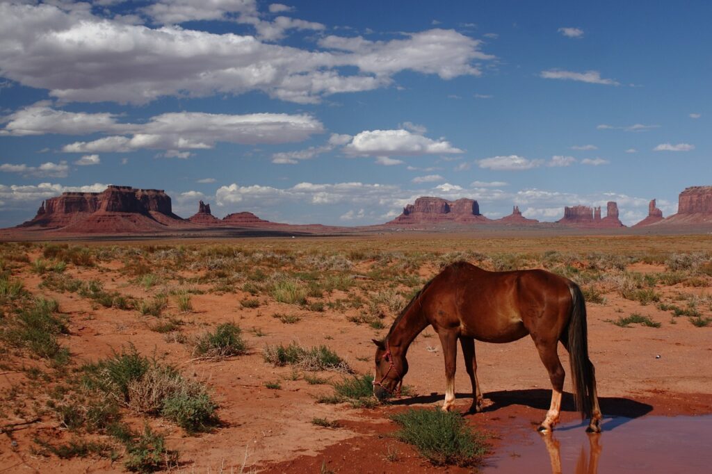 monument valley, national park, arizona-1088491.jpg